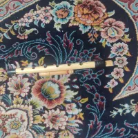 نی تکی