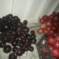 انار استرک آبدار و ملس|خوردنی و آشامیدنی|کاشان, جمال آباد|دیوار