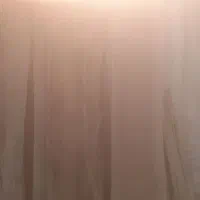 چوب گردو|مصالح و تجهیزات ساختمان|شهریار, شهرک بهاران (ویره)|دیوار