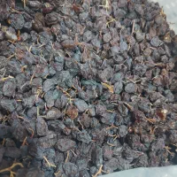 مویز بش