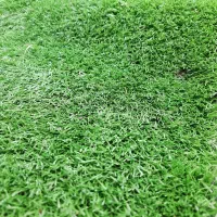 چمن مصنوعی  نو و استوک|مصالح و تجهیزات ساختمان|مشهد, حجاب (شهرک غرب)|دیوار