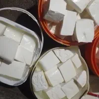 پنیر محلی گاوی