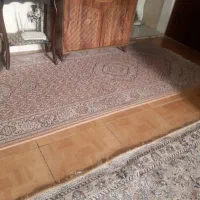 قفس پرنده