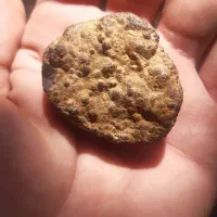 شهاب سنگ|کلکسیون اشیاء عتیقه|میمند, |دیوار