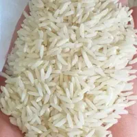 برنج هاشمی اصل