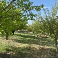 باغ شهر|فروش دفتر صنعتی، کشاورزی، تجاری|زنجانرود, |دیوار