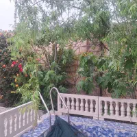 ملک-شخصی-ویلایی-تک-برگ-سندعرصه-واعیان