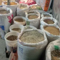گندم‌خریدار
