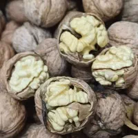 گردو خشک