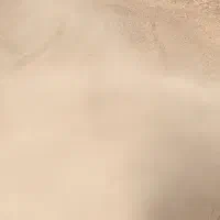 ردیف کار آبی کار|خدمات باغبانی و درختکاری|خاوه, |دیوار