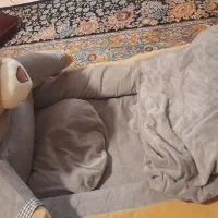 پک سیسمونی تمیز و سالم واکر آغوشی Chicco تشک|اسباب و اثاث بچه|تهران, زرکش|دیوار