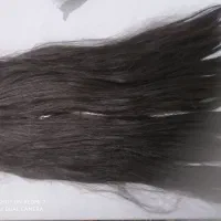 گیره مو|آرایشی، بهداشتی، درمانی|سنندج, |دیوار