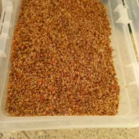 سماق ترش تازه چین
