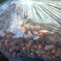 خرمای پیارم