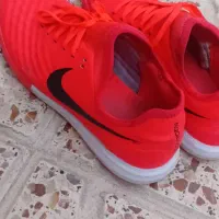 کتونی سالنی