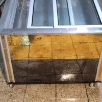 مرغ و ماهی کانتر فریزر