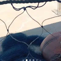 تور ماهیگیری