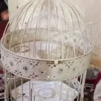 قفس پرندگان