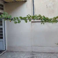 معاوضه خانه ۱۵۰ متری با آپارتمان کوچکتر|فروش آپارتمان|شیراز, جوادیه|دیوار