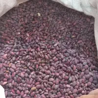 لوبیا قرمز|خوردنی و آشامیدنی|کبودرآهنگ, |دیوار