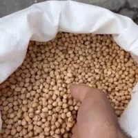 فروش عمده حبوبات