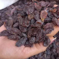 حراج مویزگوشتی درجه یک