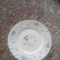 آرکوپال سالم و تمیز