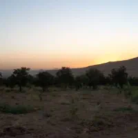 فروش طرح کشاورزی5500 مترطرح عمان سامان|اجارهٔ دفتر صنعتی، کشاورزی، تجاری|سامان, |دیوار