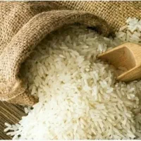 برنج هاشمی و یابرنج فجرمحلی شمال تالش خودم کشاورزم