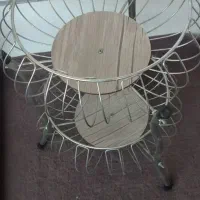 جاسیبزمینی‌پیاز