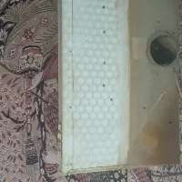 هود سالم|هود|زاهدان, |دیوار