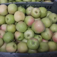 سیب سبز خوش طعم و آبدار