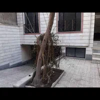 اجاره آپارتمان ۳۵ متری ۱ خوابه طبقه ۲ خانی‌آباد نو|اجارهٔ آپارتمان|تهران, خانی آباد نو جنوبی|دیوار
