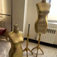 رگال و تنه مانکن ایستاده سوزن خور