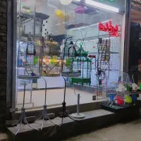 پرنده فروشی قفس عروس هلندی فنچ مرغ عشق