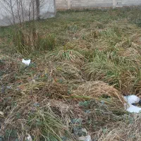 **فروش زمین منطقه در حال پیشرفت**