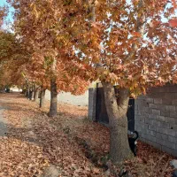 اولین و معتبرترین مرجع تخصصی زمین‌های هلجرد