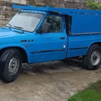 نیستان دیزل 401