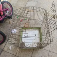 قفس پرنده