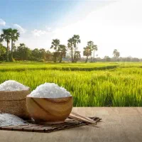 استخدام ویزیتور مواد غذایی