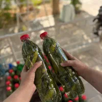 مربای به و خیارشور خانگی|خوردنی و آشامیدنی|شیراز, آزادگان|دیوار