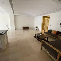 دیباجی ۱۹۵ مترتکواحدی ۲پارکینگ ‌‌‌زیرقیمت|فروش آپارتمان|تهران, اختیاریه|دیوار