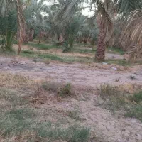 فروش باغ بروات