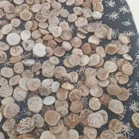قروت گوسفندی دیگ چدن