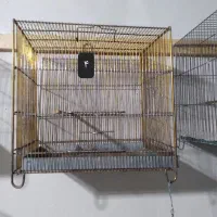 قفس سهره|لوازم جانبی حیوانات|رشت, نخودچر|دیوار