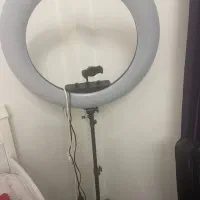 رینگ لایت