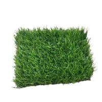 چمن مصنوعی قرمز و سبز|گل مصنوعی|کوه چنار, |دیوار