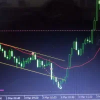 فارکس رایگان برای یک نفر