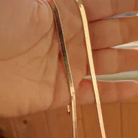 زنجیر نفرتی پهن|بدلیجات|بندر انزلی, ساحل قو|دیوار