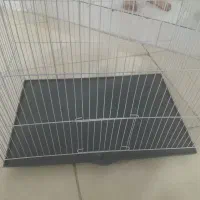 قفس پرنده
